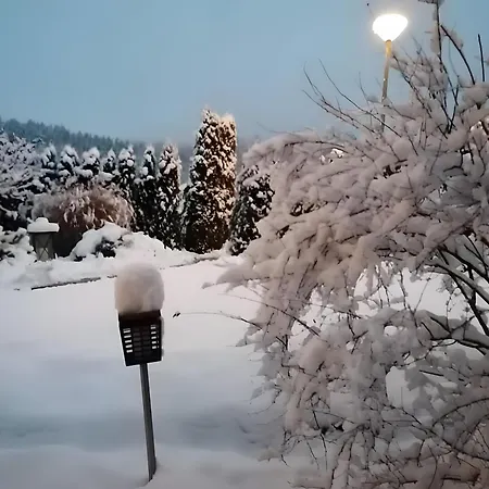 Auszeit Sauerland Apartament Olsberg